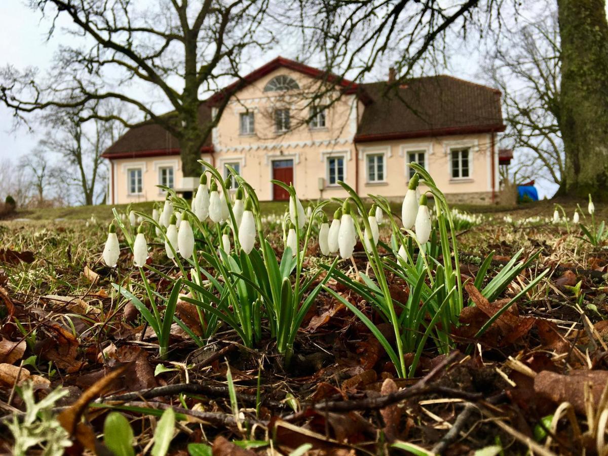 Ferienwohnung Bear Manor Lacu Muizina Pāle Exterior foto