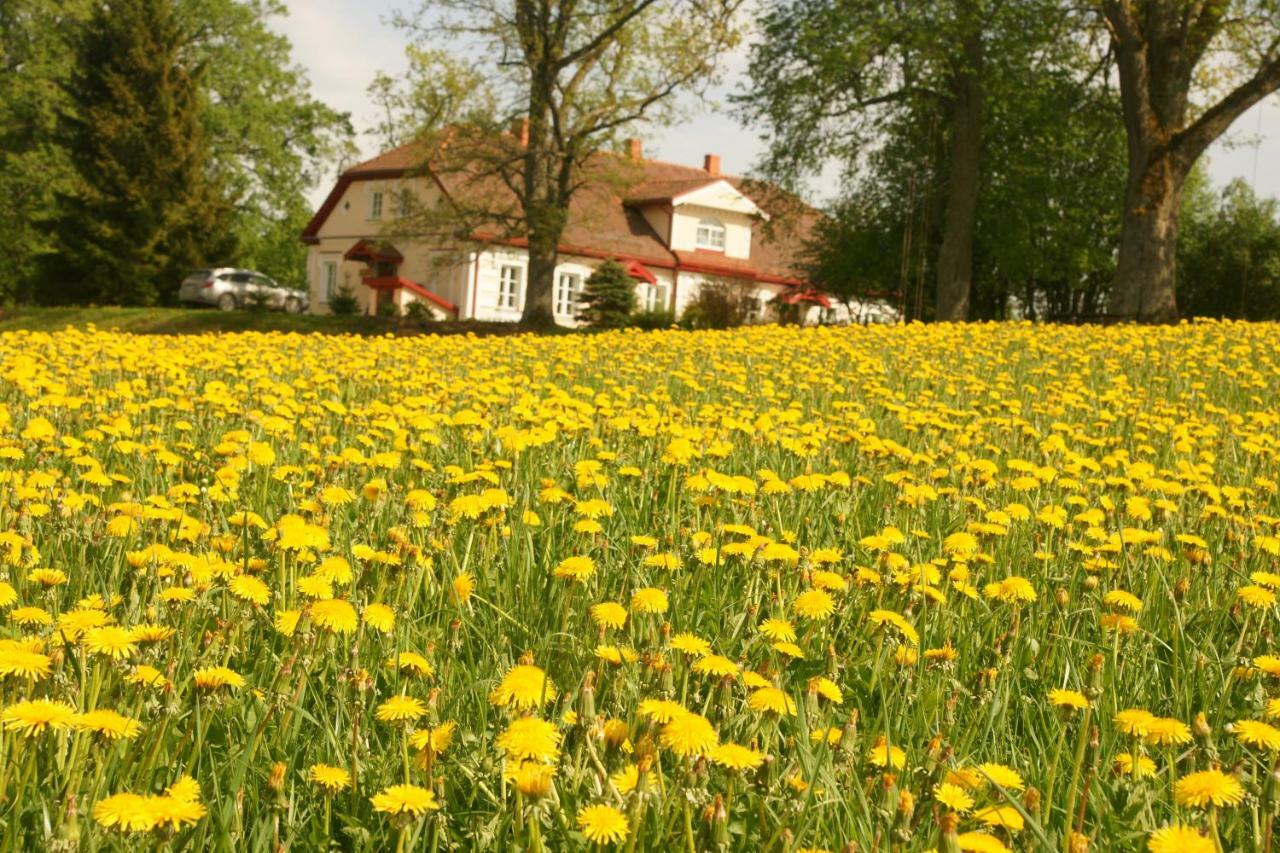 Ferienwohnung Bear Manor Lacu Muizina Pāle Exterior foto